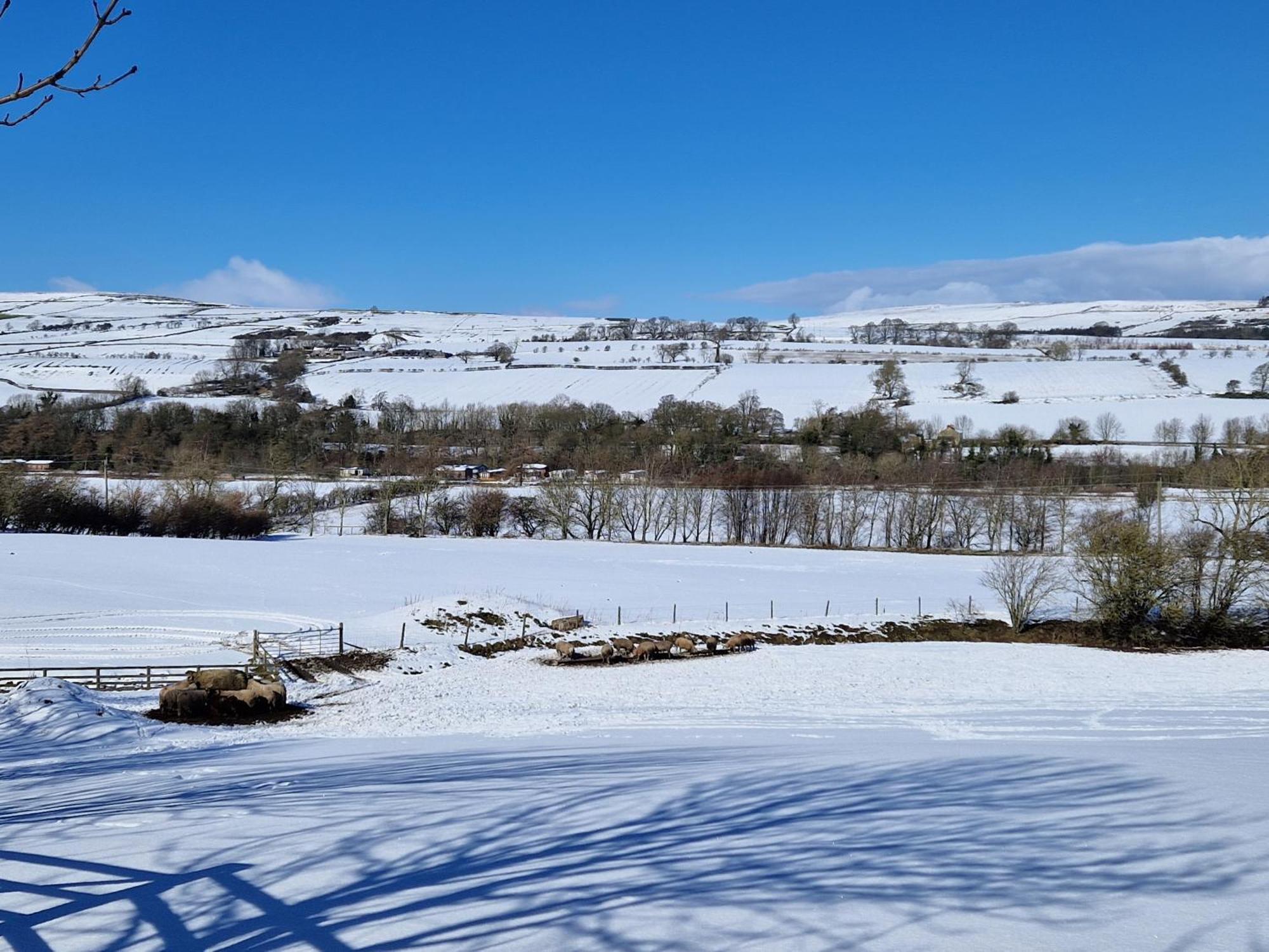 The Den, Coves House Villa Wolsingham ภายนอก รูปภาพ